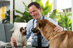 Creature Comforts Veterinary Housecall Practice